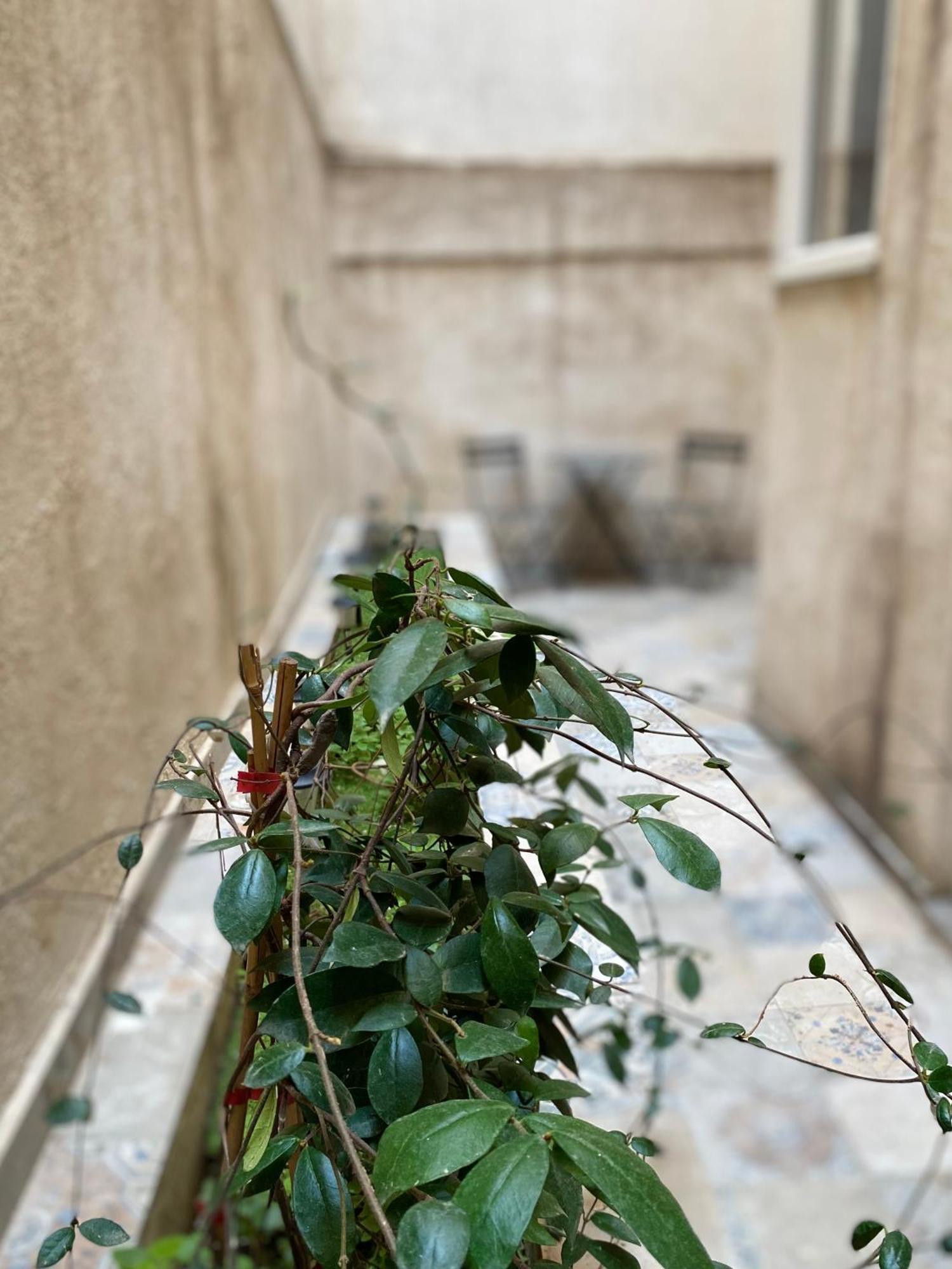 A Place 4 U Below Acropolis Apartment Athena Bagian luar foto